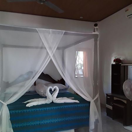 Blue Star Bungalows & Cafe Amed Exteriér fotografie
